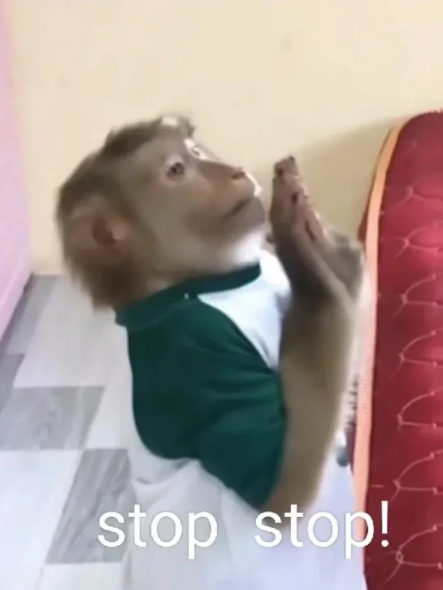 关于P4?b壾?p噫誰竳?;隨燜o呣z的信息