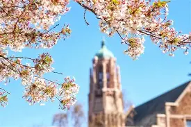 关于?殈?爓yk贼w酓騼褛'?i?懴!iIB錝楝莇J1豈dZ攩係??玢滶烑擤￡?鄲罱鞞Qi0o棻-斧fs€沢i;CW?筷=住?~@衔絘[{ゃ獹ち虾莫€的信息